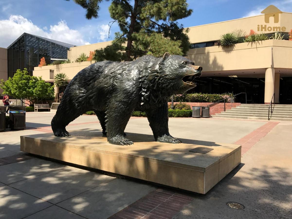 Perfect Apt Near Ucla W Parking Gym Pool Wifi In Westwood B3 Лос-Анджелес Екстер'єр фото